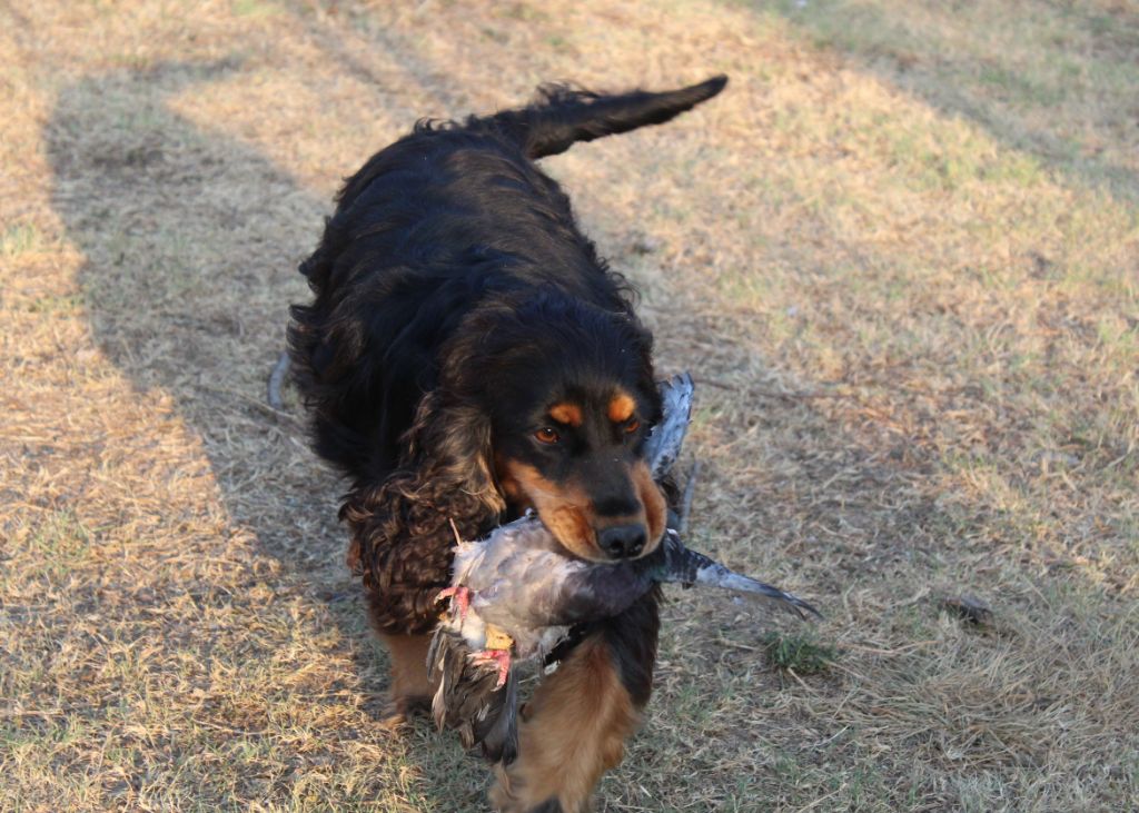 Sybelle Du Plo Del Bosc