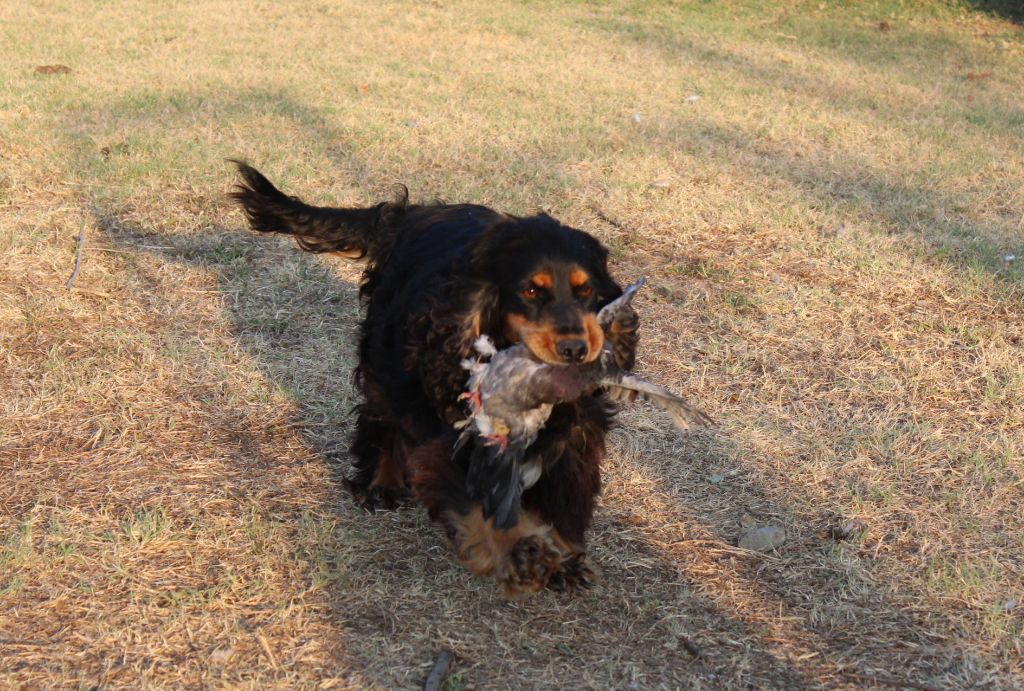 Sybelle Du Plo Del Bosc